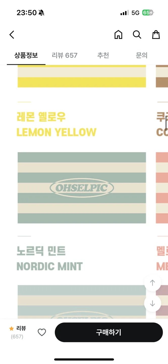 오셀픽 비치타올 노르딕 민트