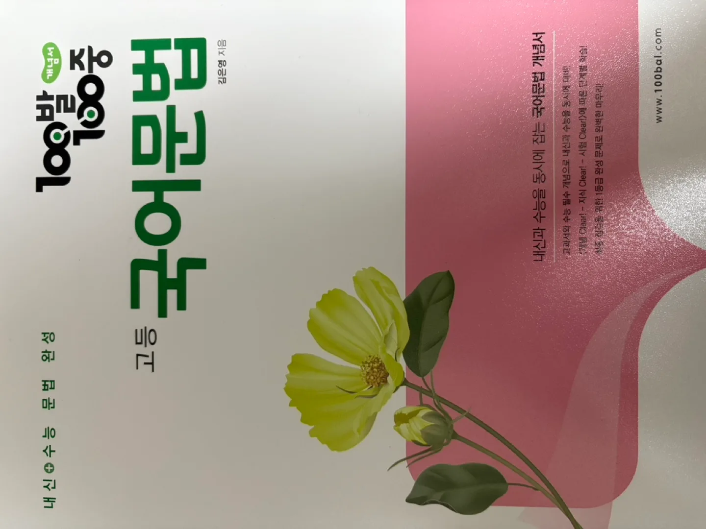 100발 중고국어문법