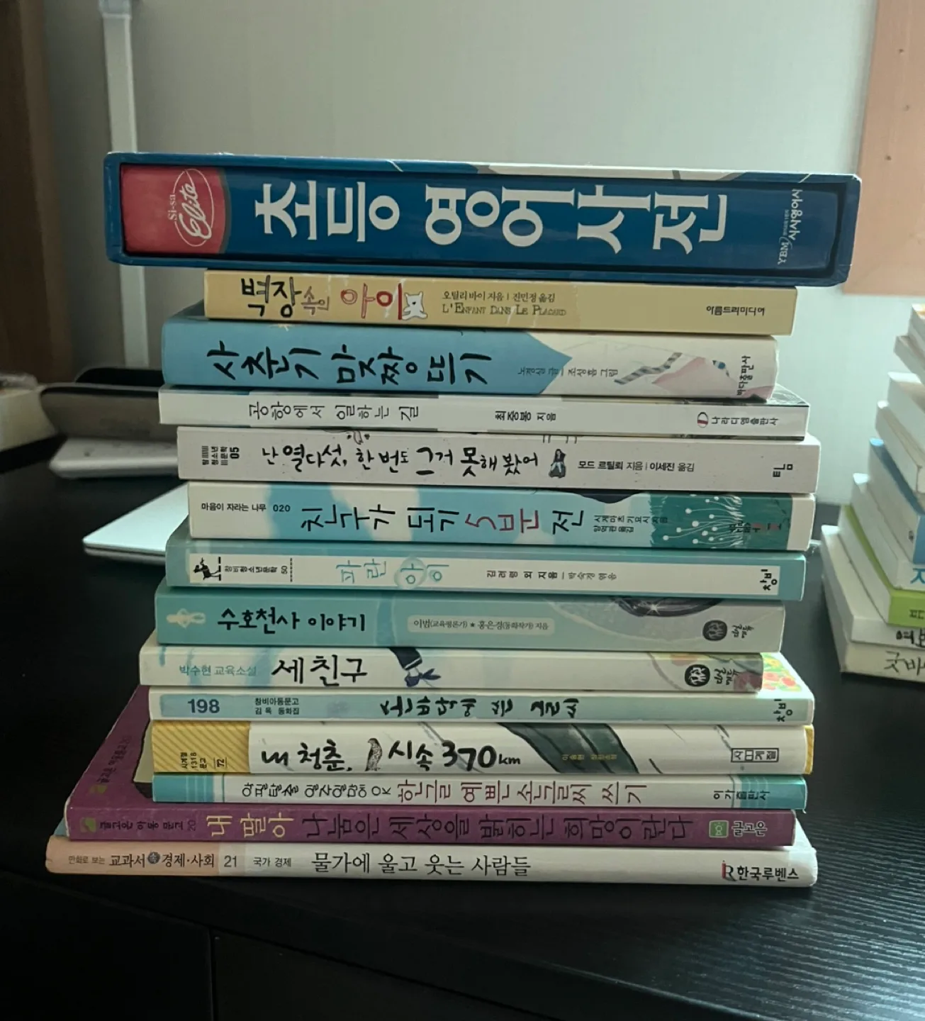 중고 청소년 도서