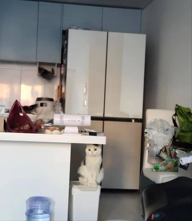 삼성비스포크 냉장고패널 팝니다