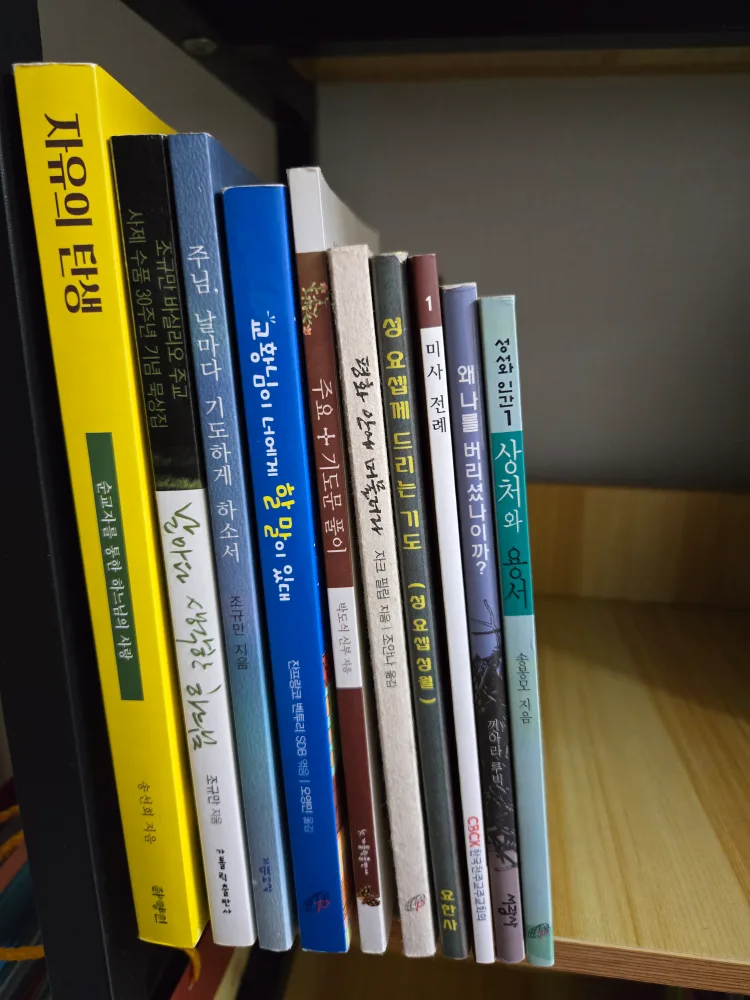 중고 도서 10권 세트