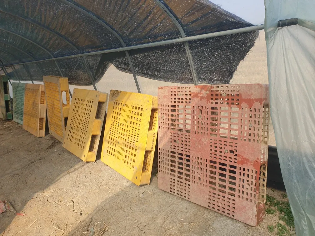 중고 플라스틱파레트 필요하신분요