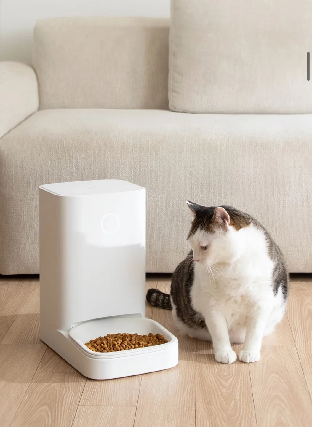 스마트 반려동물 자동급식기(바램펫 밀리 베이직,새상품)