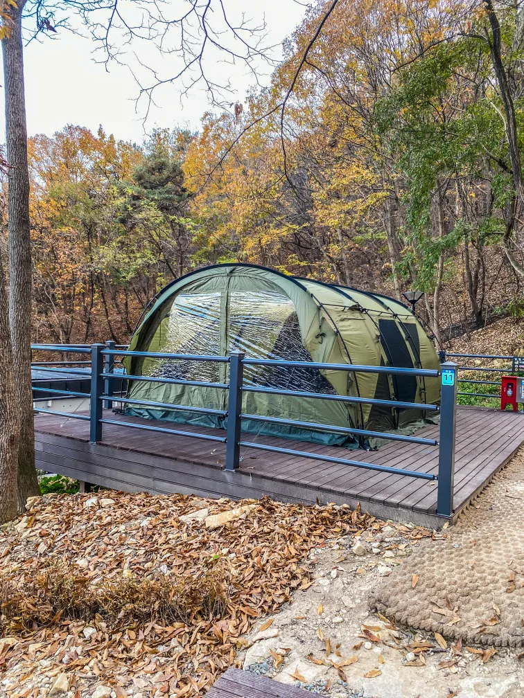 몬테라 몽뜨  풀셋