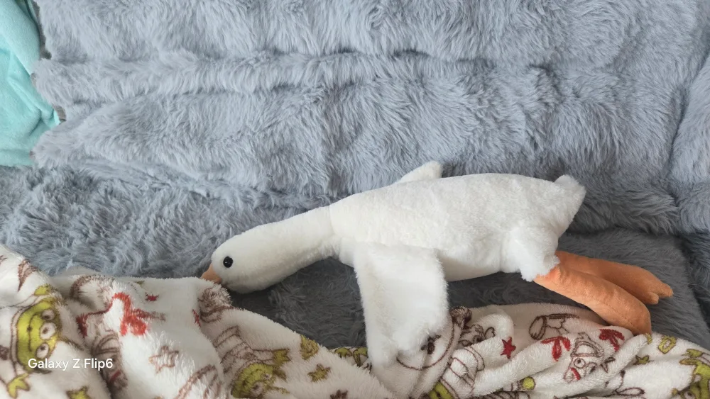 인형ㅍㅍ