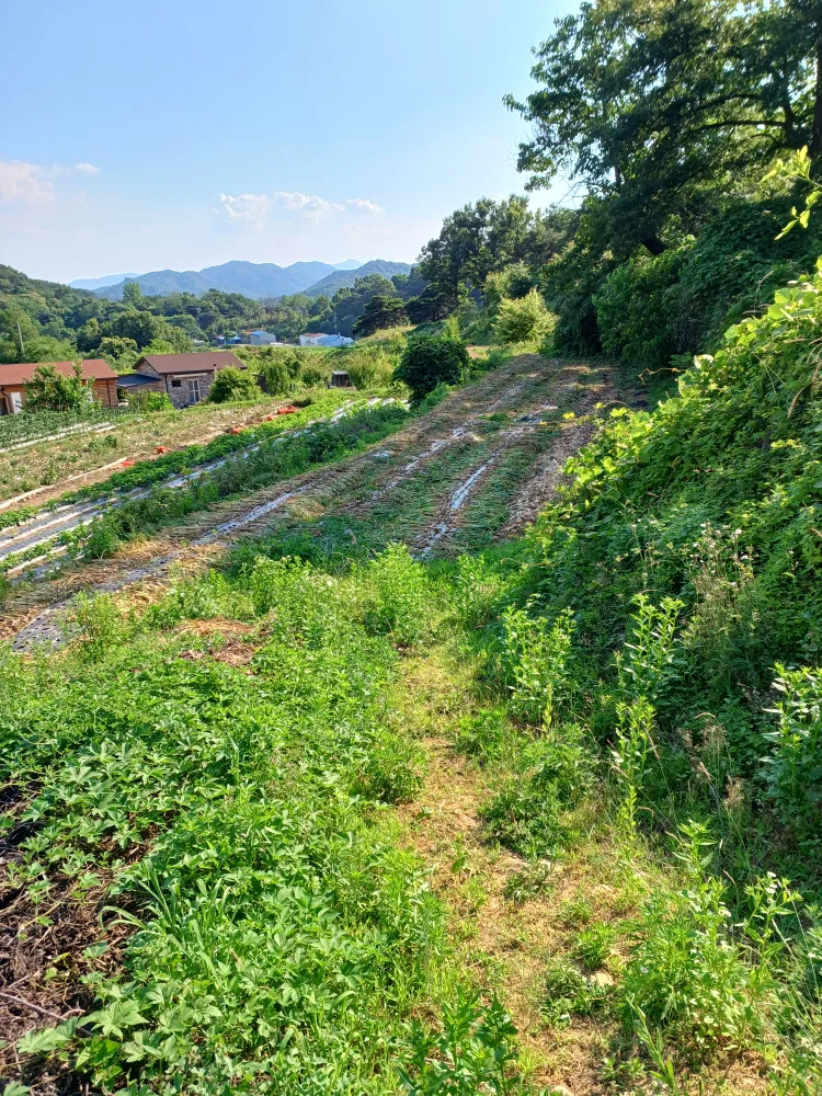 울타리메쉬휀스중고삽니다