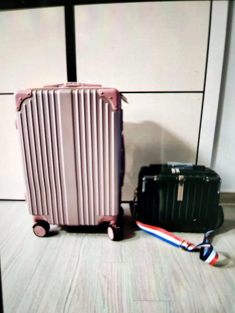 케리어 가방 2개