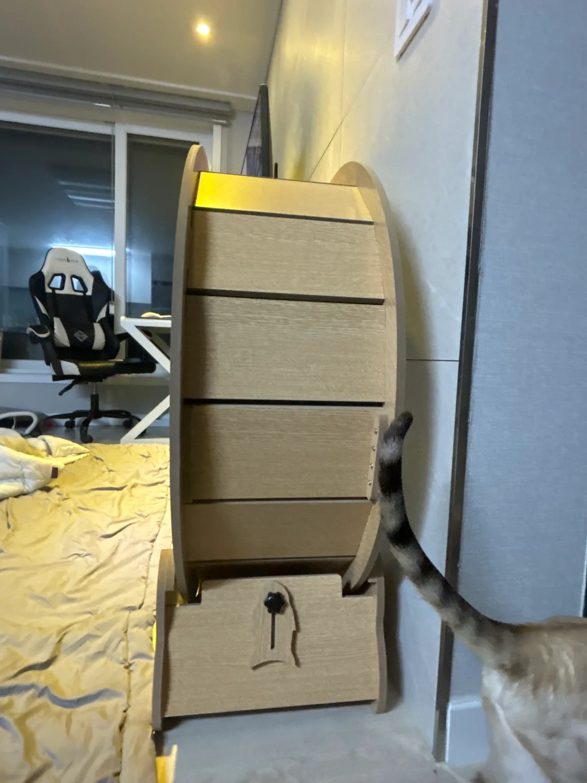 중형 캣휠 중고합니다