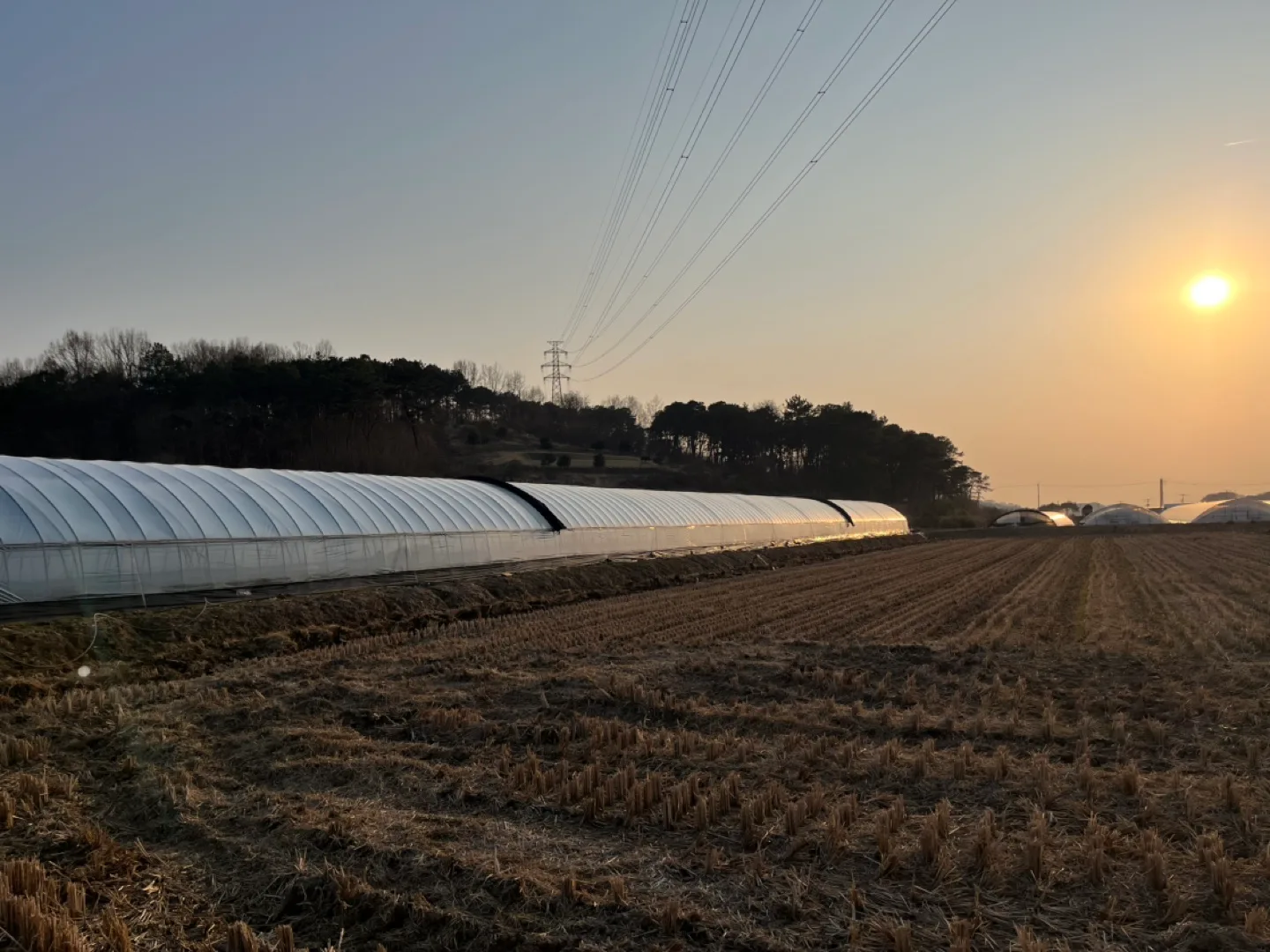 중고차광막팔아요 상태양호