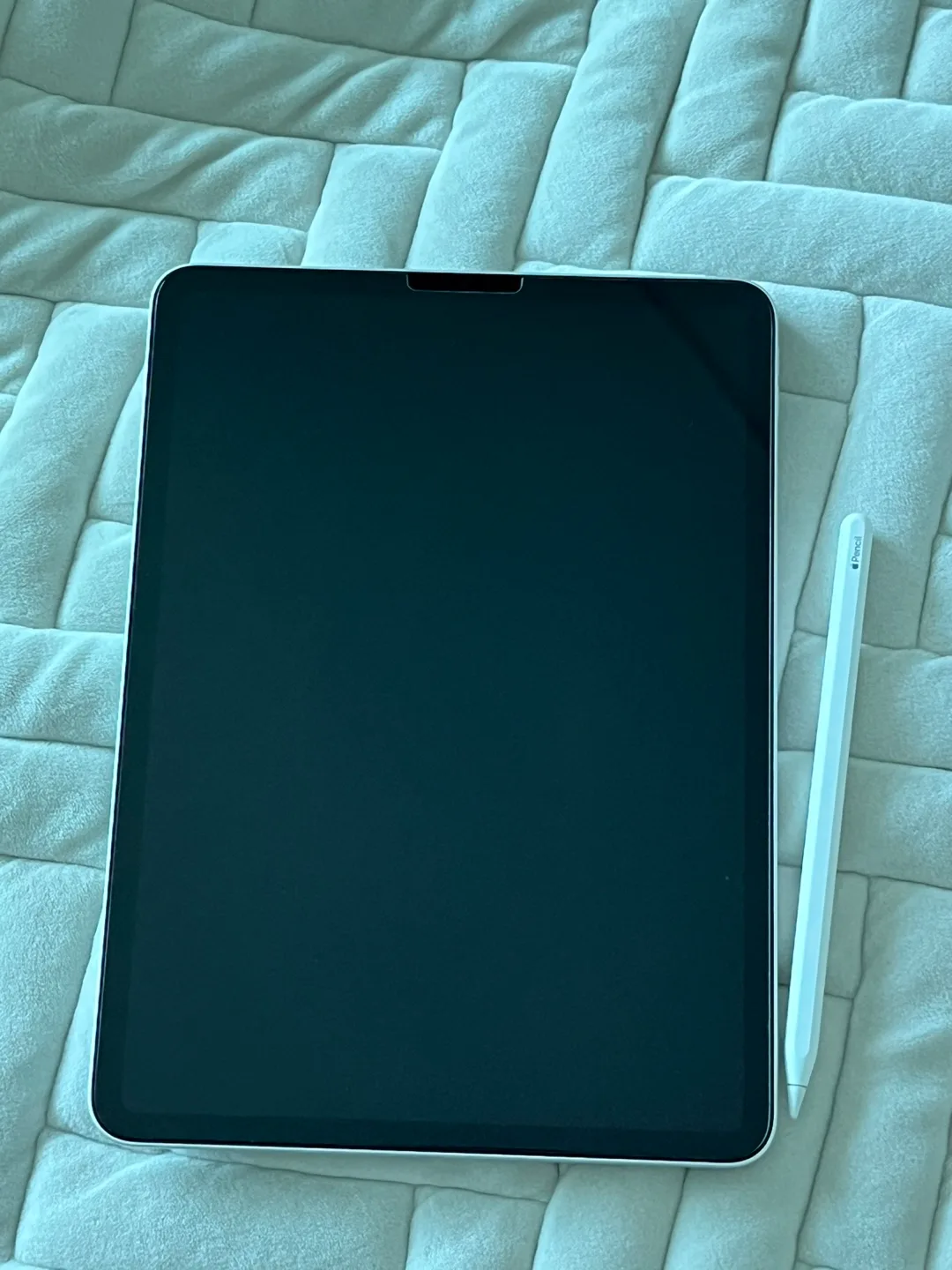 아이패드 프로 m1 + 애플팬슬 2세대