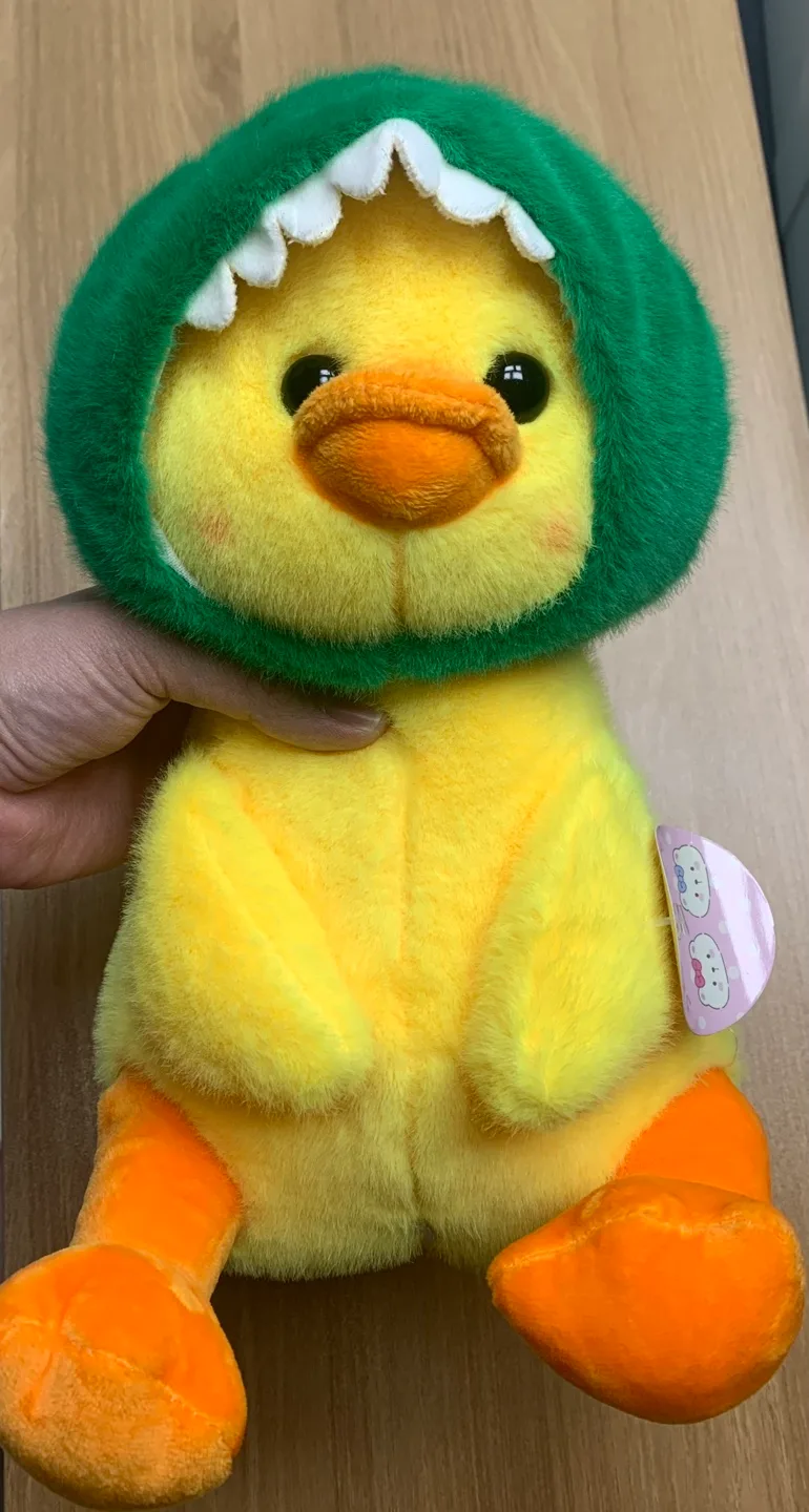 공룡 모자 오리인형