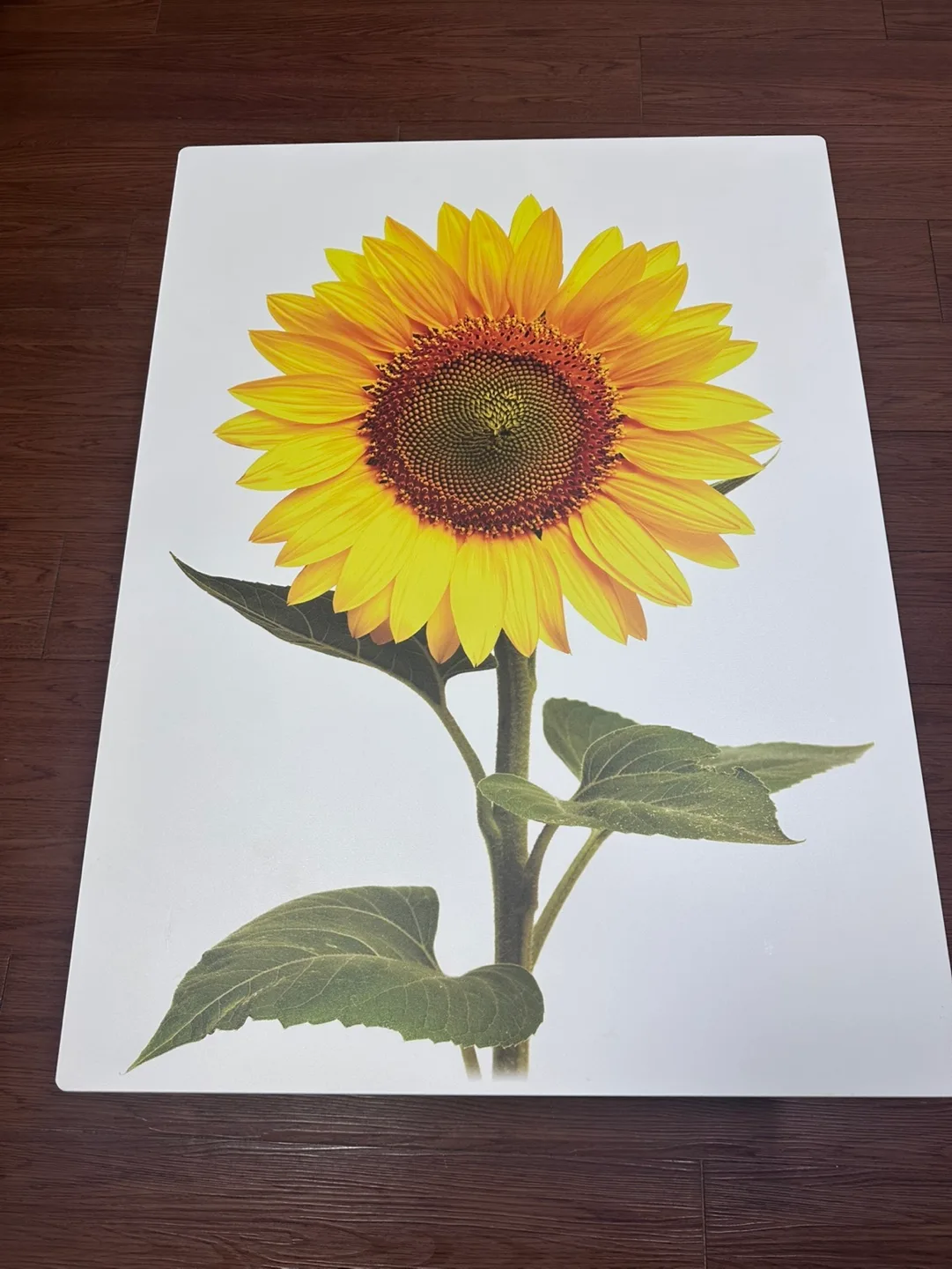 밥상 테이블 중고