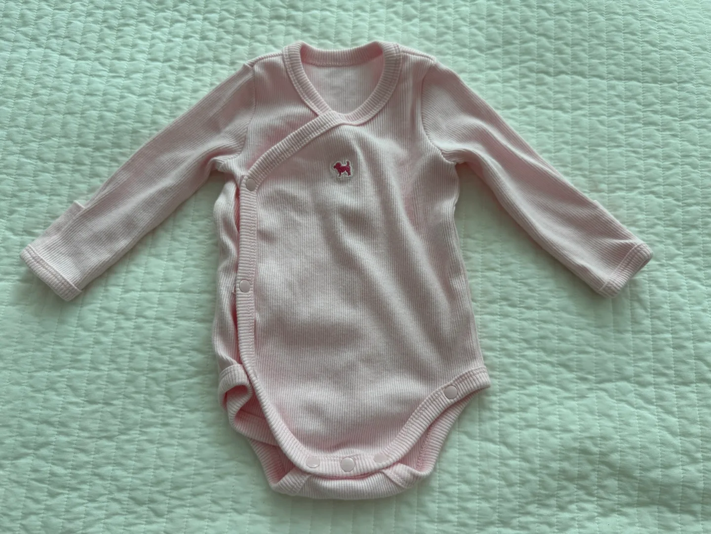 블루독 바디슈트