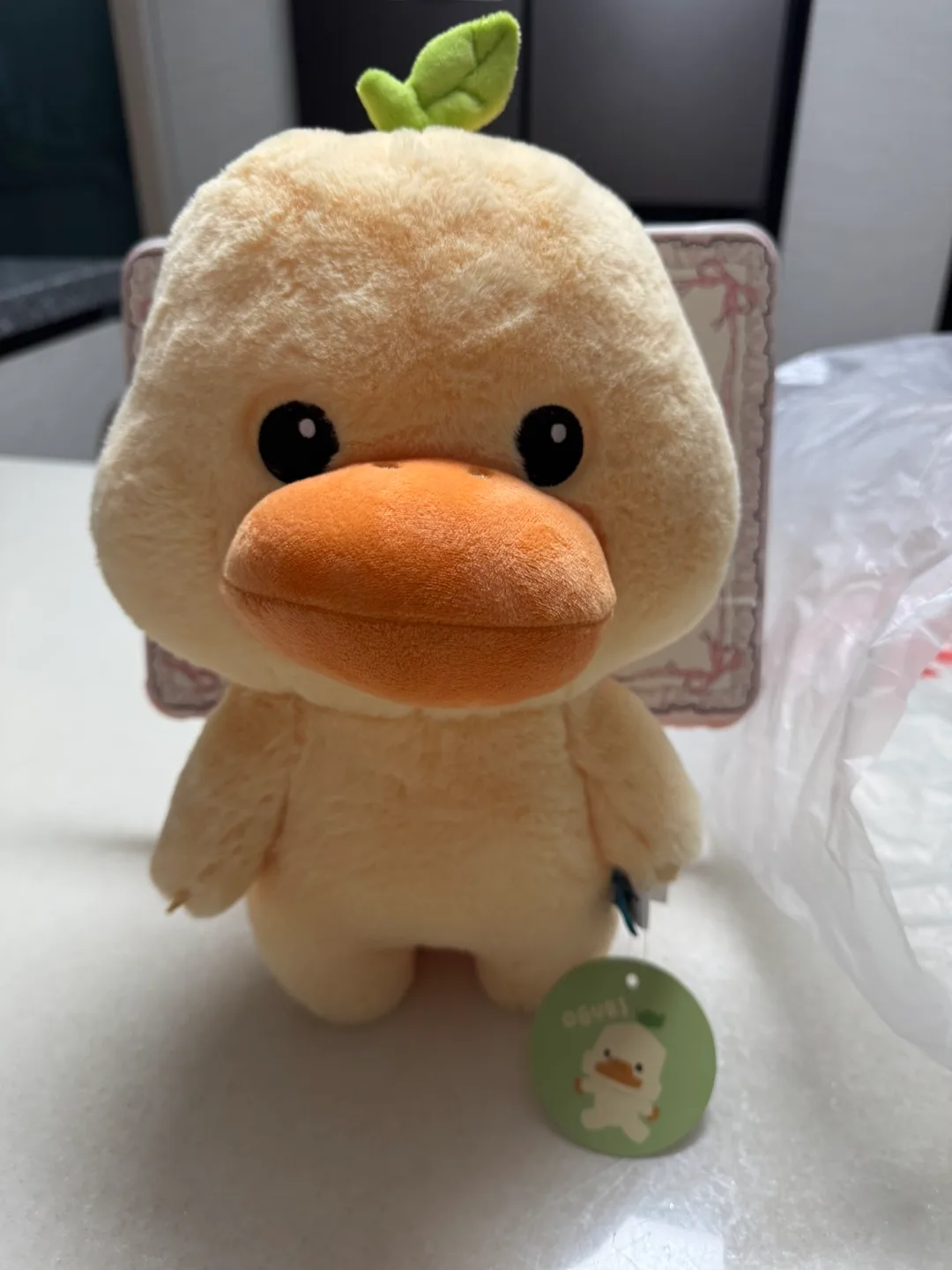 ✨오구리 (오리너구리) 인형 새상품✨