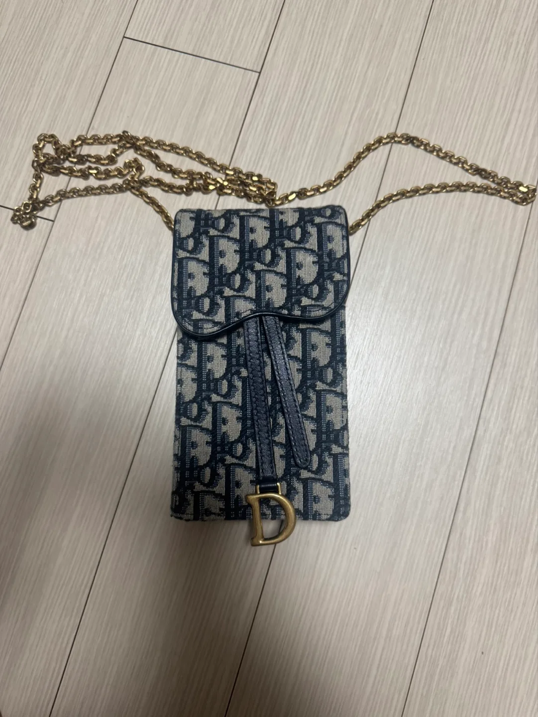 Dior 오블리크 새들 파우치