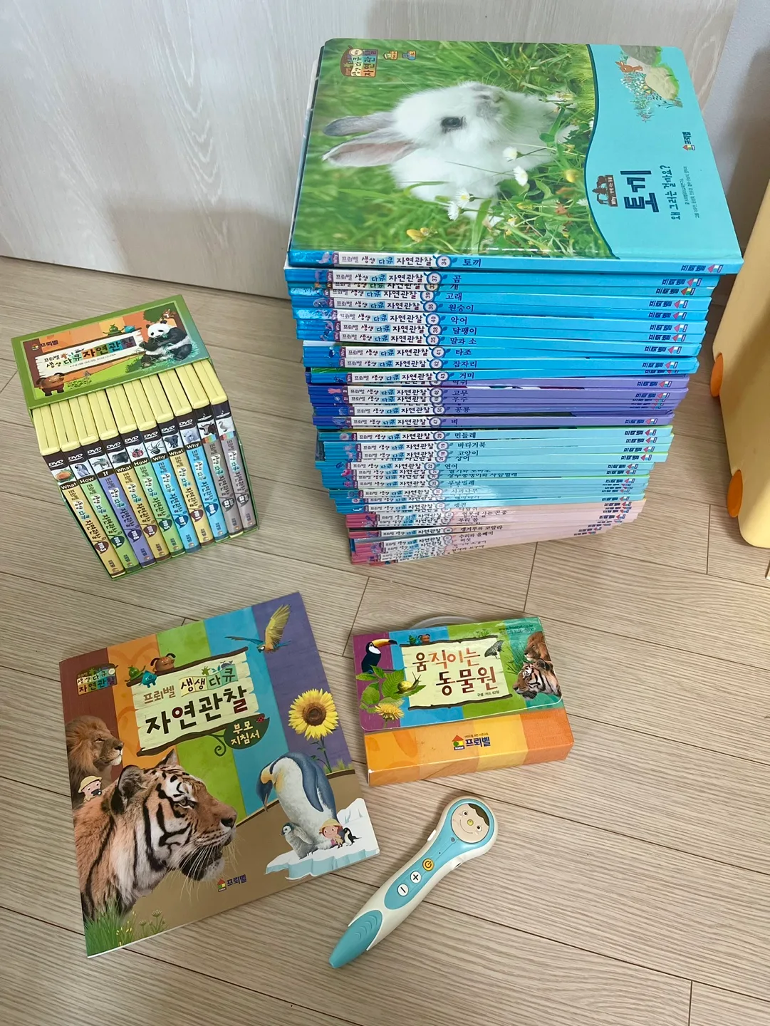 프뢰벨 자연관찰전집+씽킹펜+부모지침서+DVD