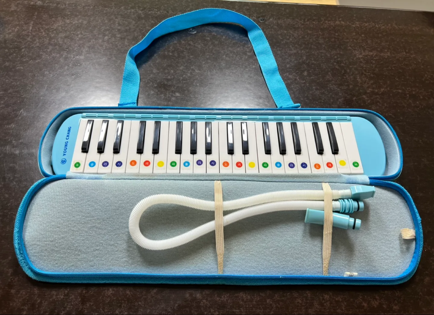 중고 영창 레인보우 멜로디언 가방세트