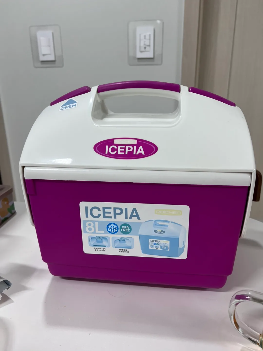 로이첸 아이스박스 8L