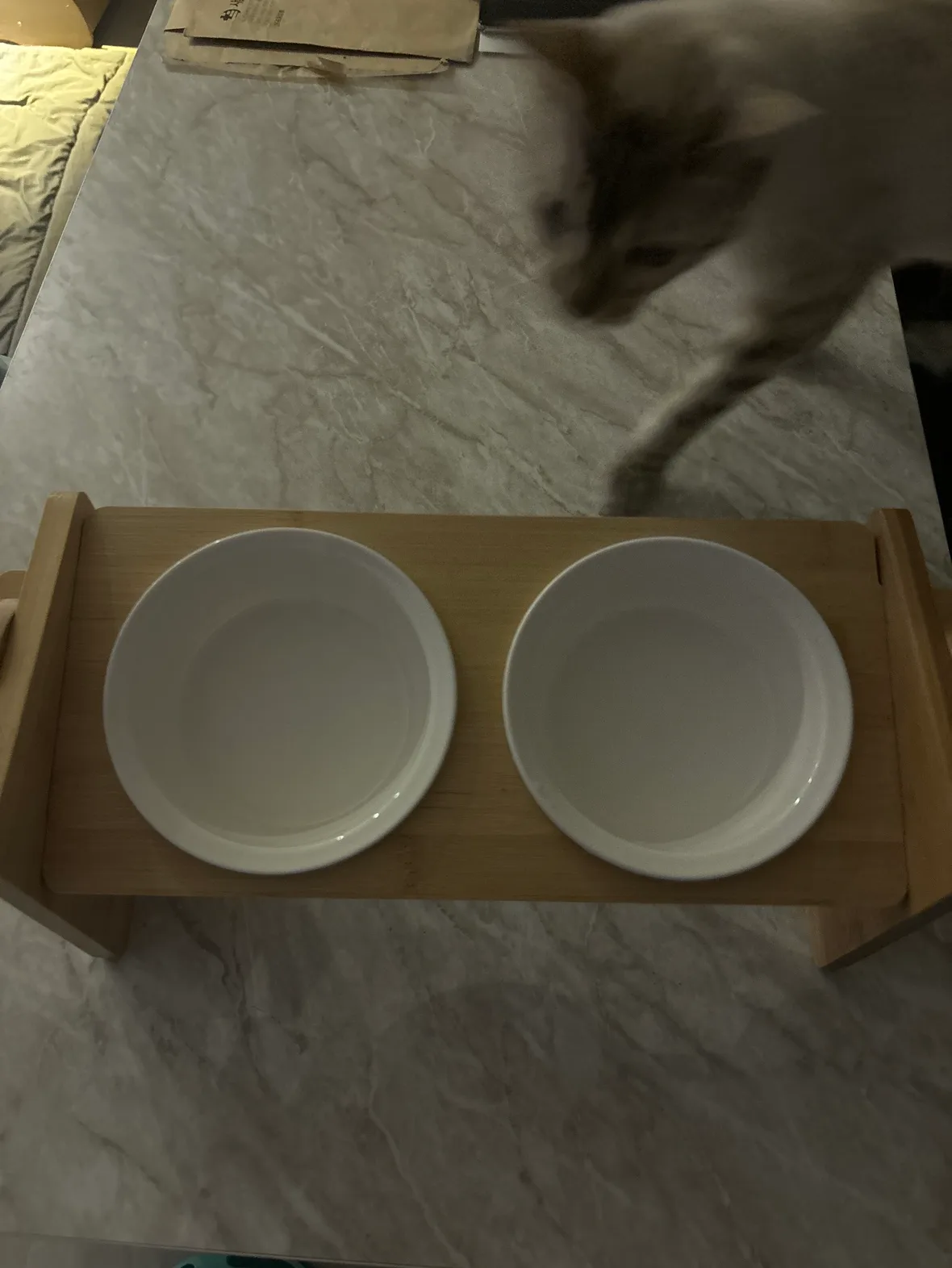 애완동물 밥그릇 중고합니다