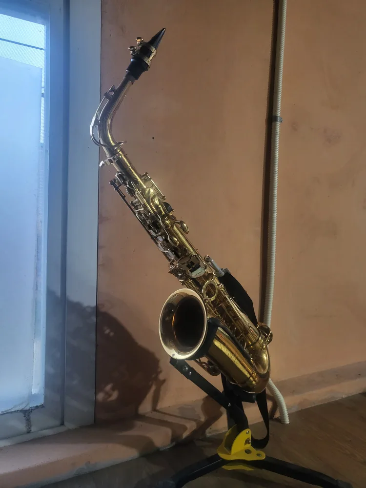 중고섹스폰 셀마립스