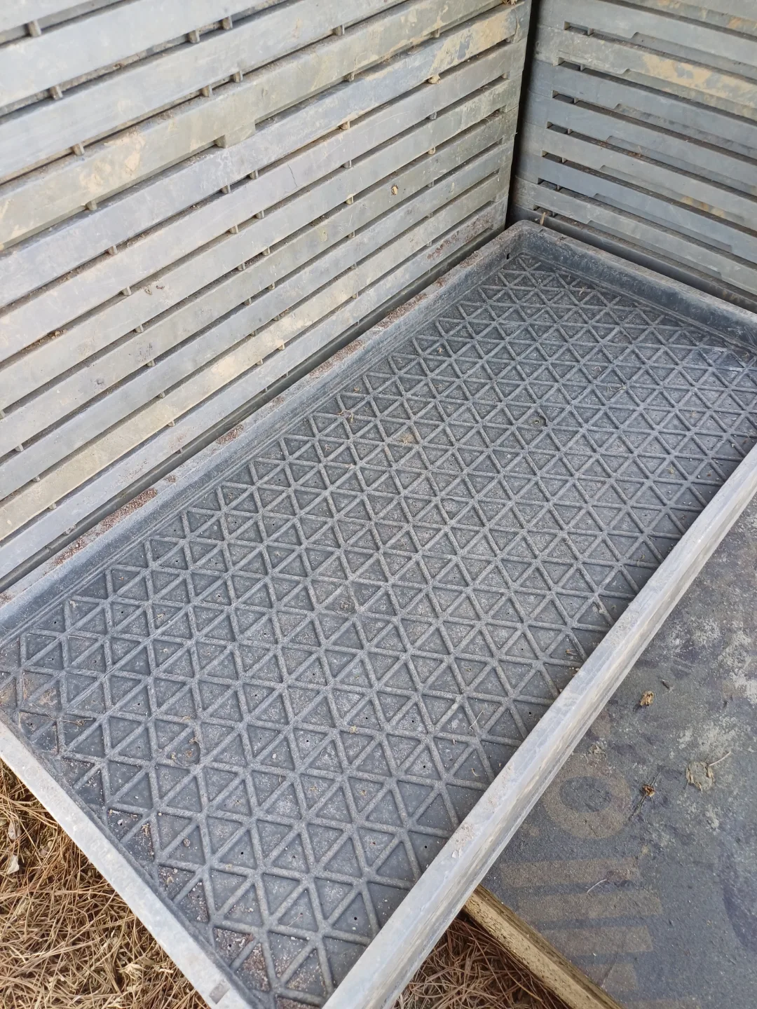 11모 육모상자 300원