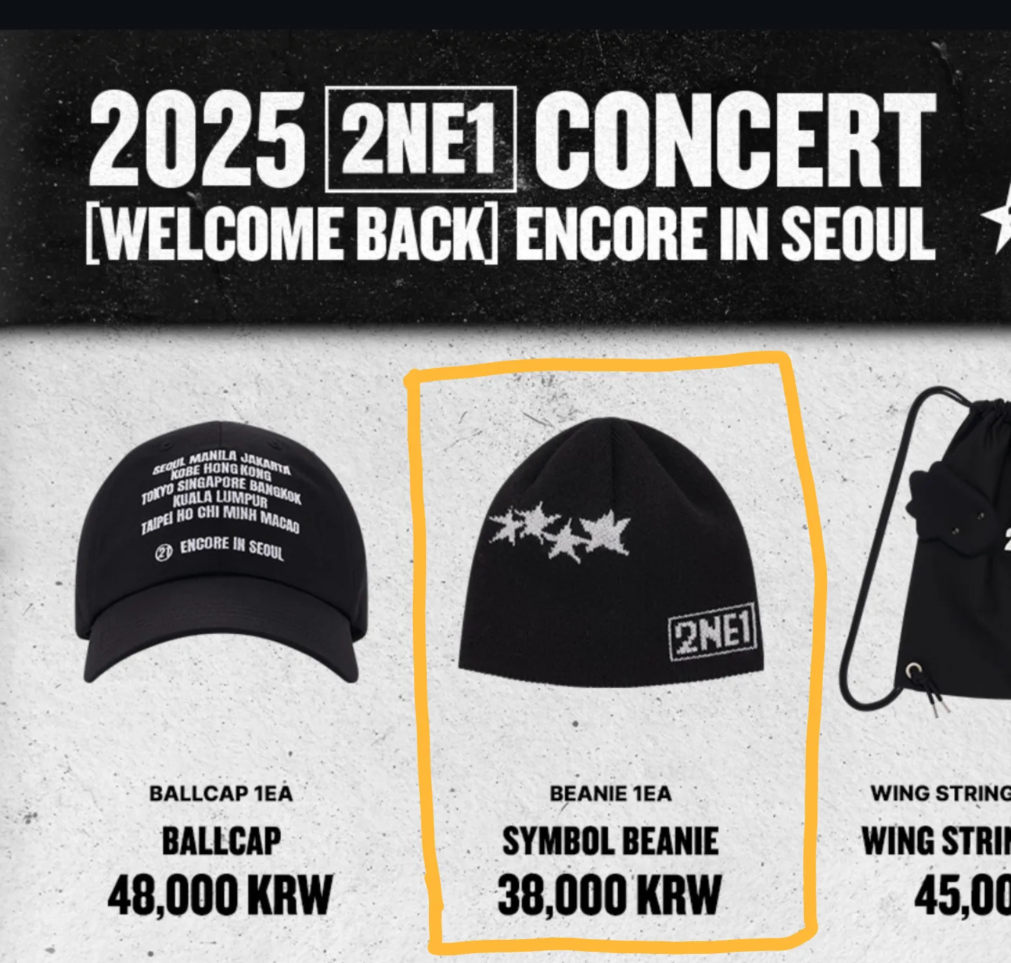 투애니원 2NE1 비니_콘서트 MD (원가이하)