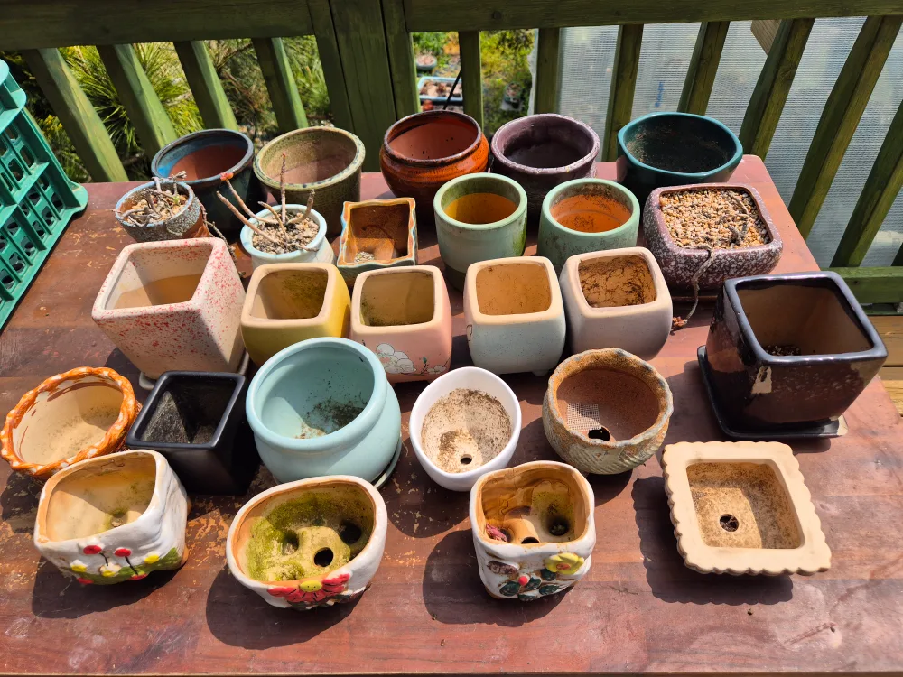 중고 빈화분 몽땅