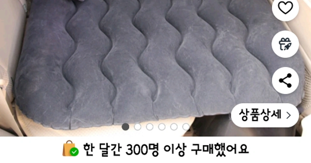 자동차 뒷자석 에어매트 | 이도2동 | 스포츠/레저 | 당근 중고거래