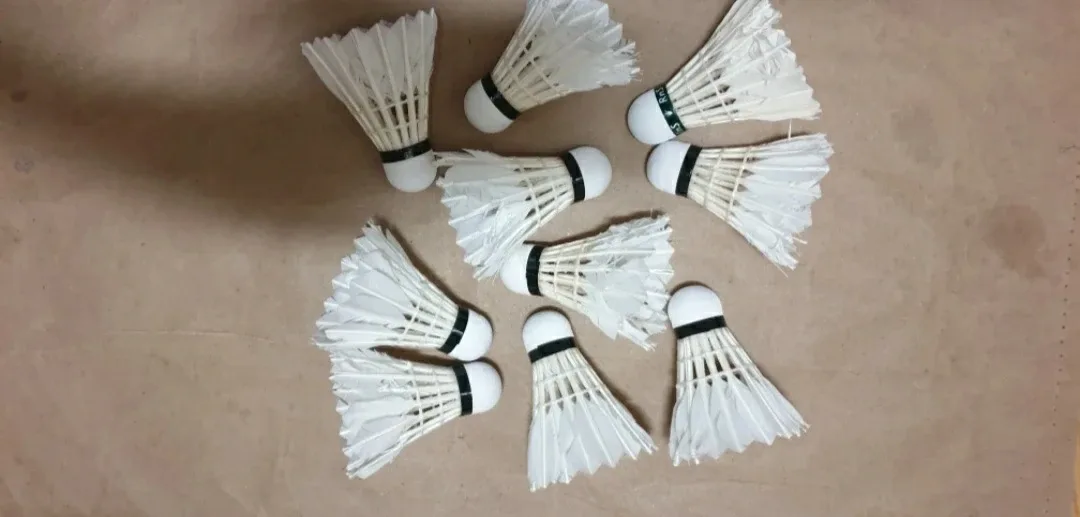 (배드민턴) 셔틀콕 10개(중고)