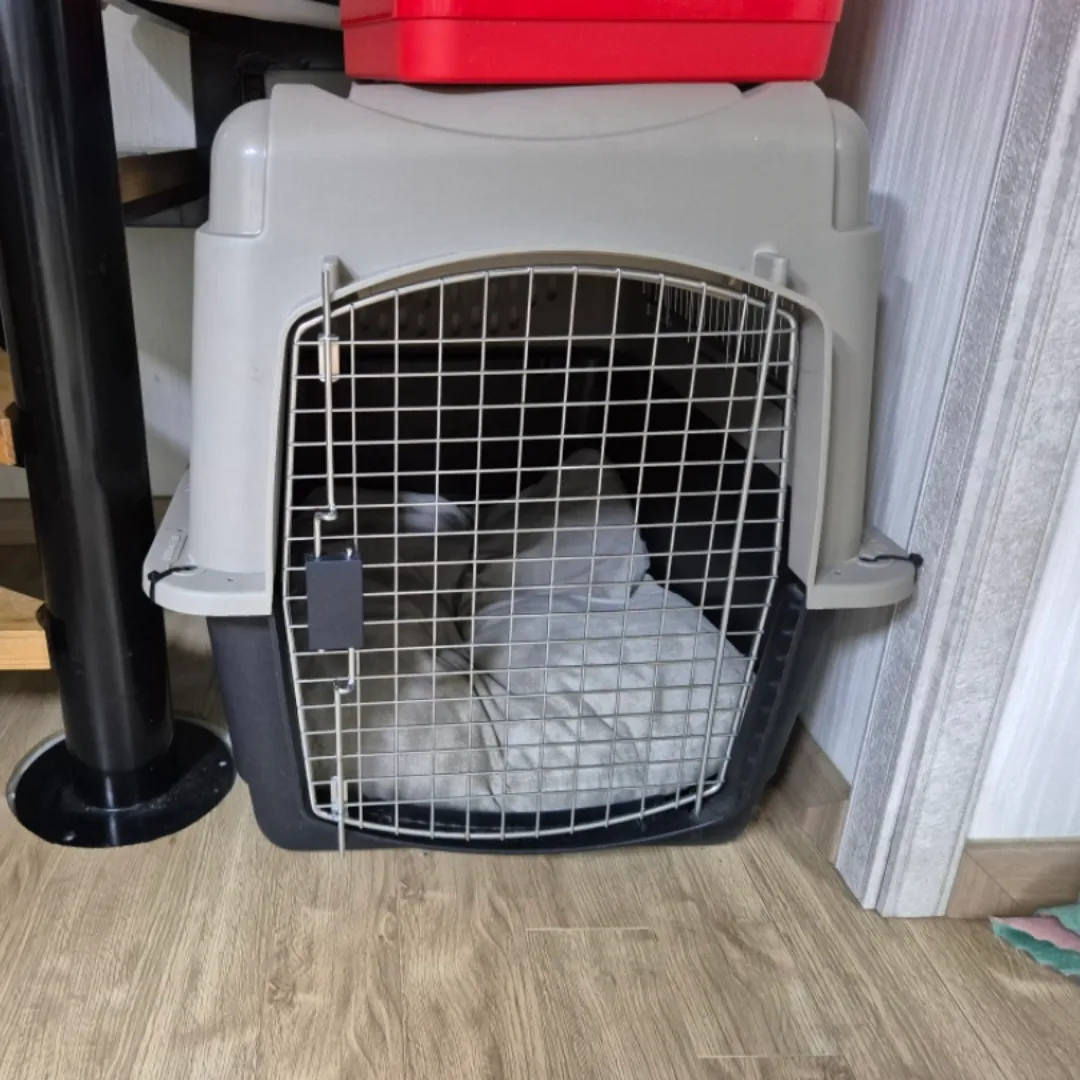 바리캔넬 350 (마지막가격)