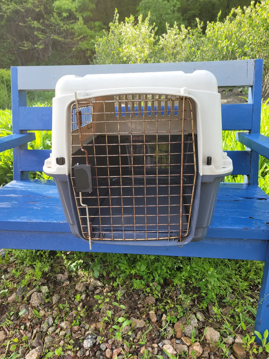 강아지 켄넬 (중고)