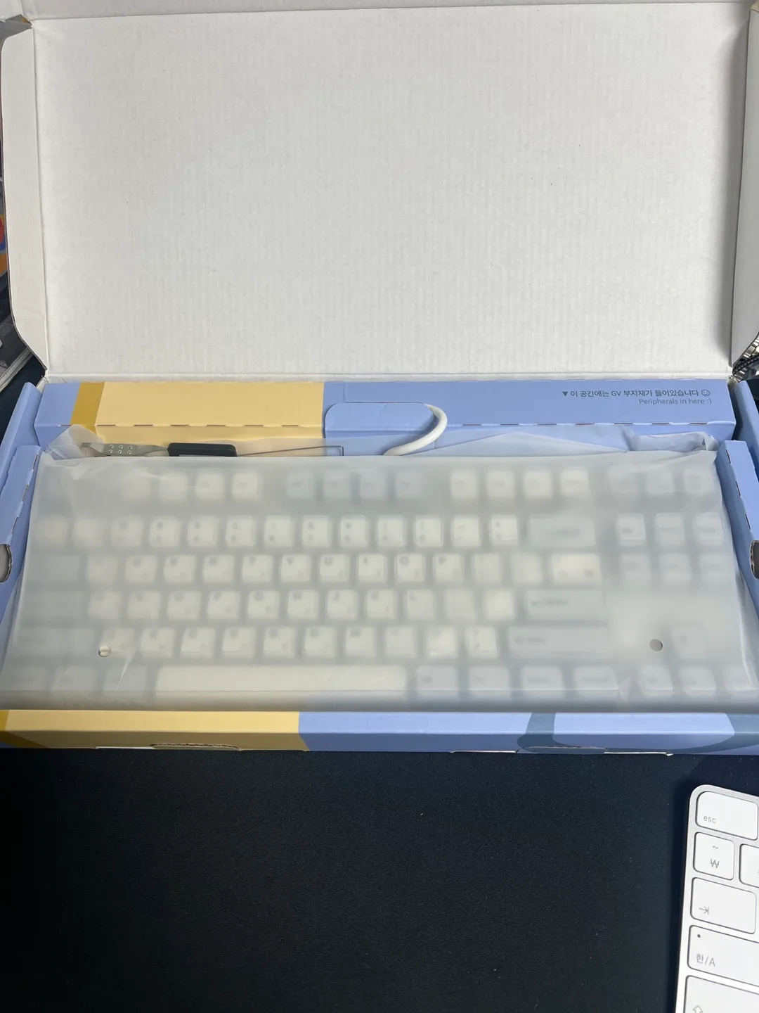 엠스톤 코랄축 38g v2(팜레포함)