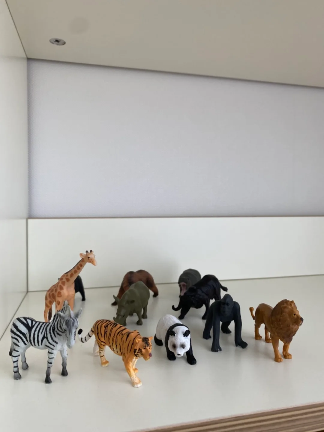 동물 피규어 세트 11종