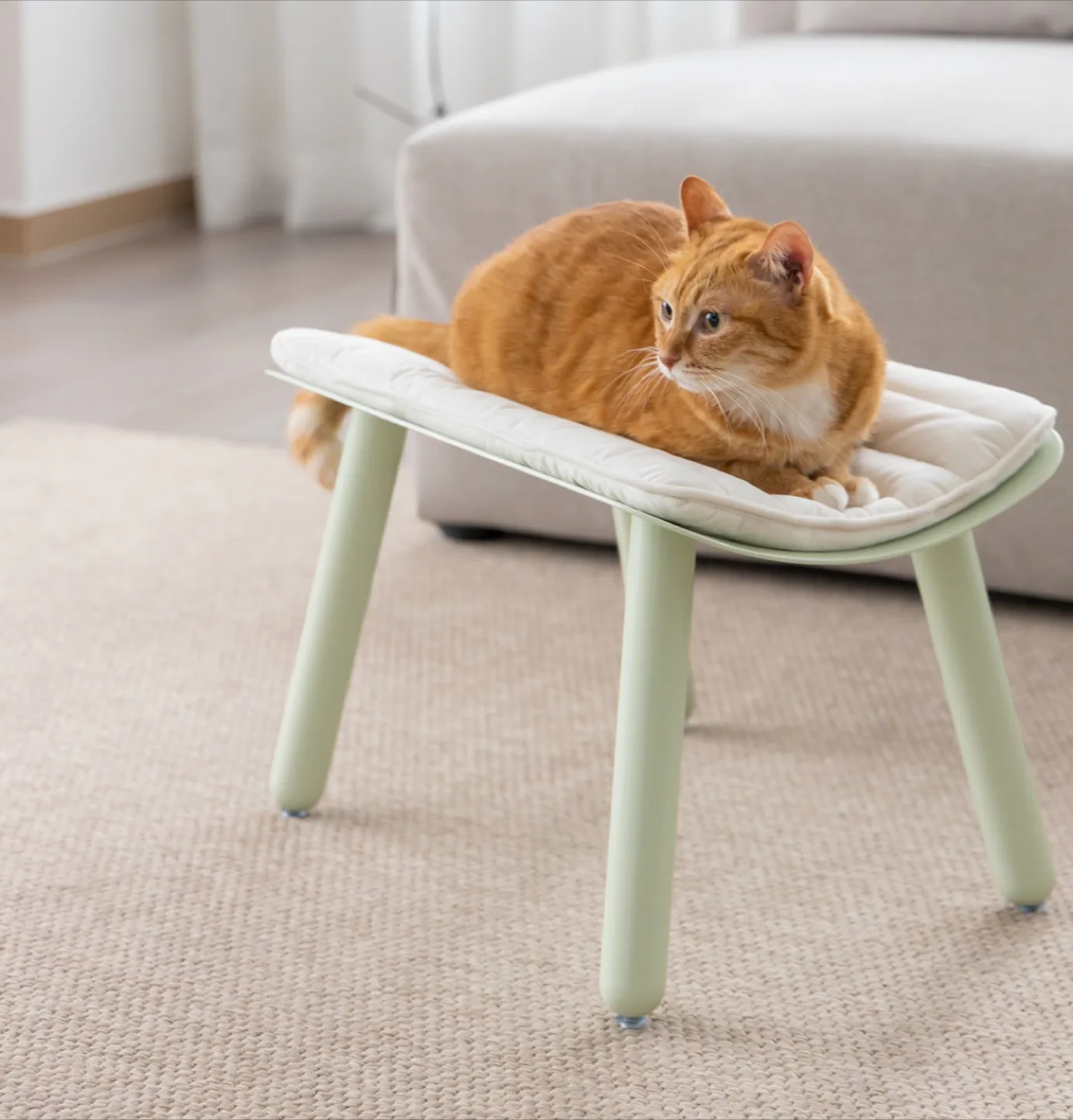 🐱 새 제품! 부드러운 곡선이 매력적인 포니 캣 베드 판매해요