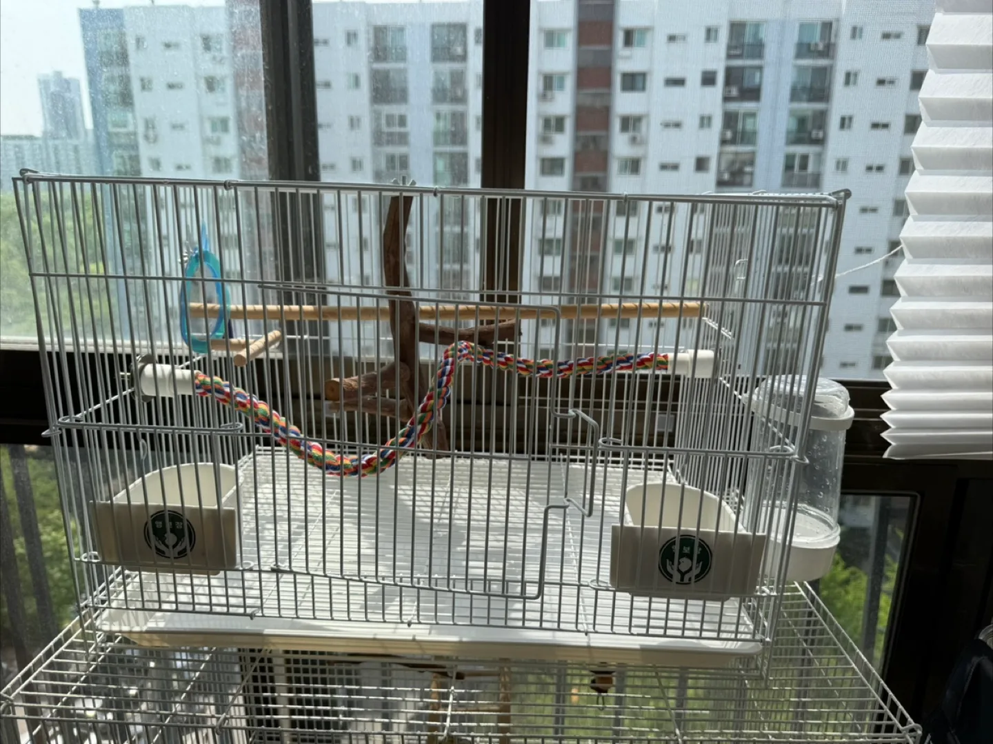 리프패럿 안전 앵보장 새장 - 중소형