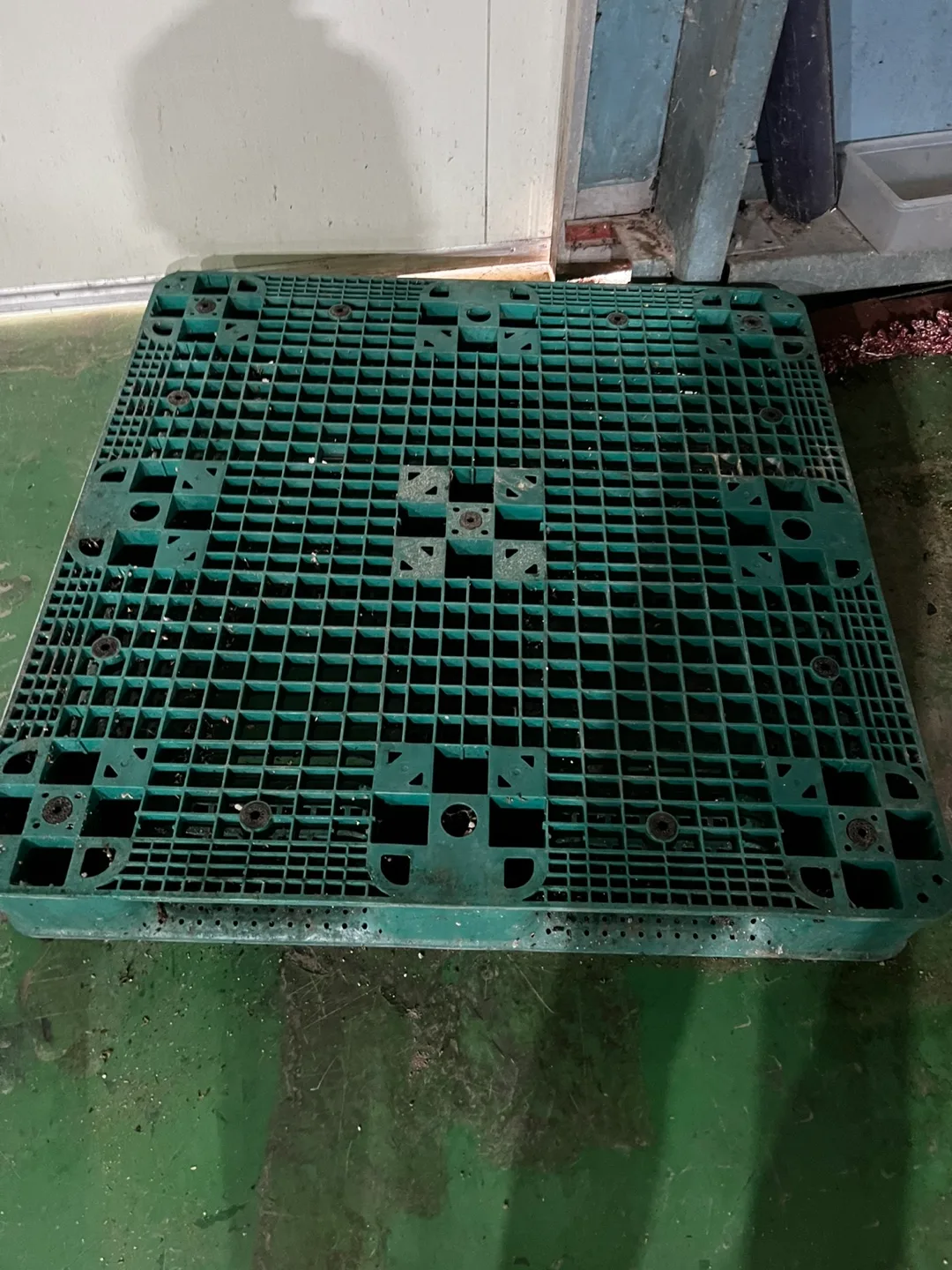 강성 중고 파레트 팝니다