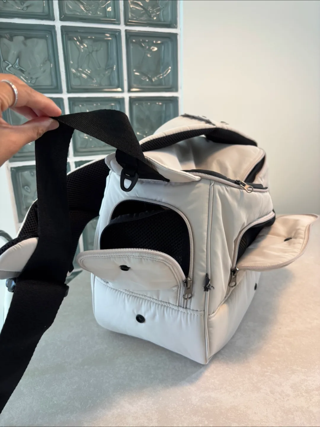 SSOOOK 쏘오옥 강아지 이동 가방