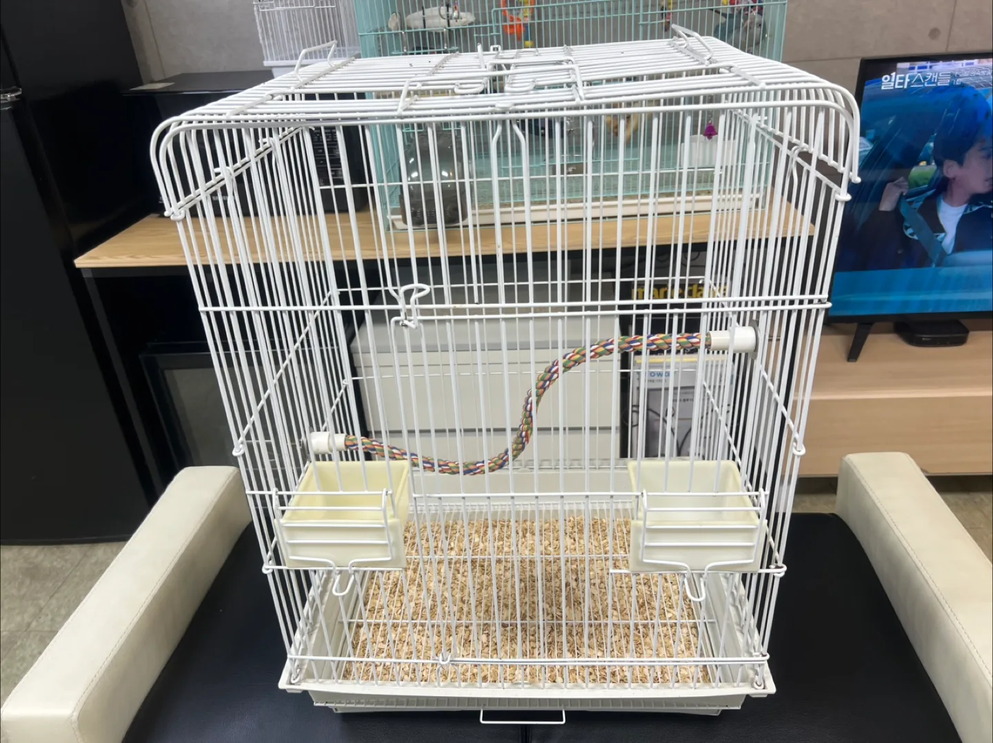 화이트 새장