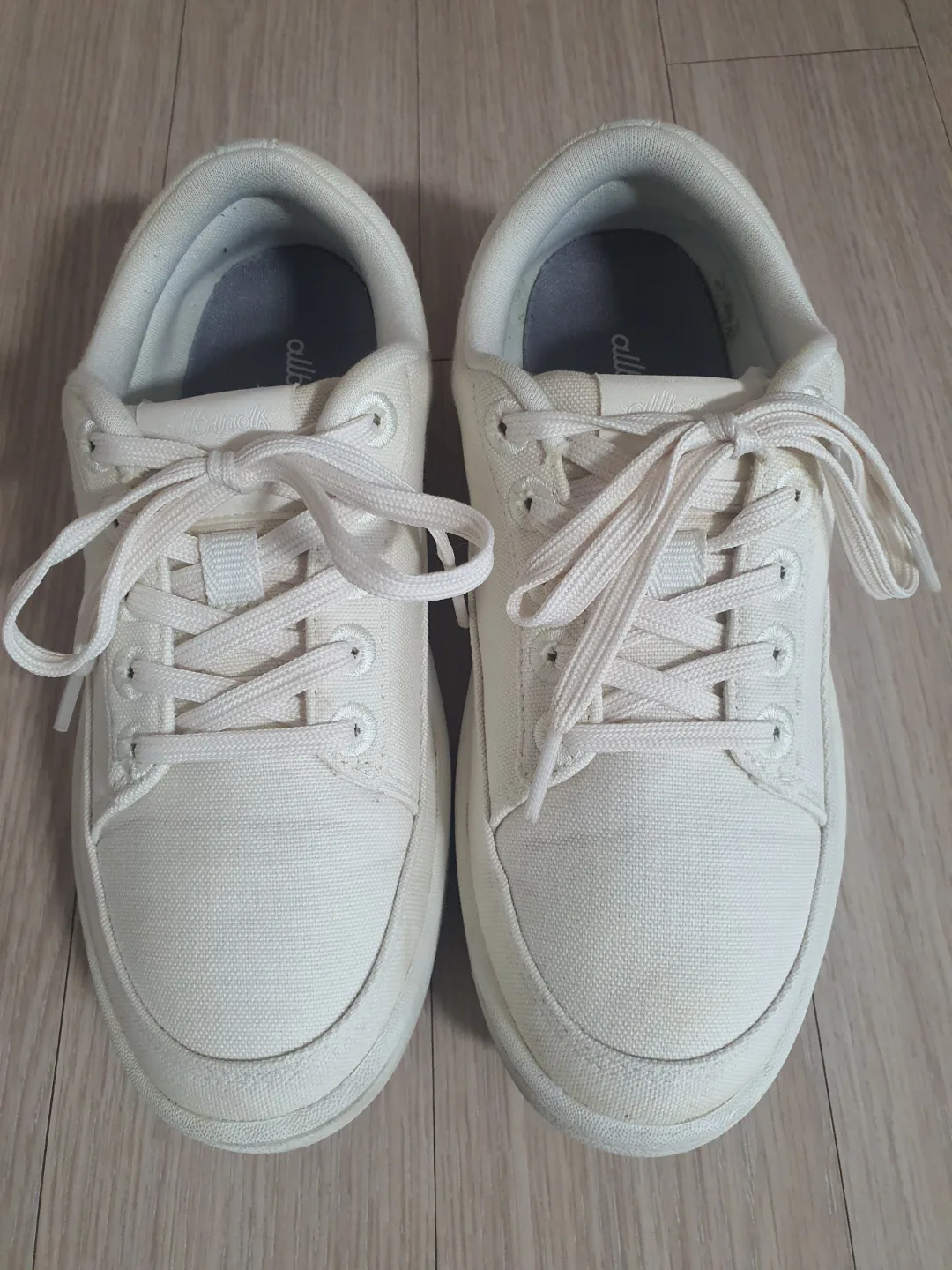 올버즈 - Canvas Pacers (여성운동화)