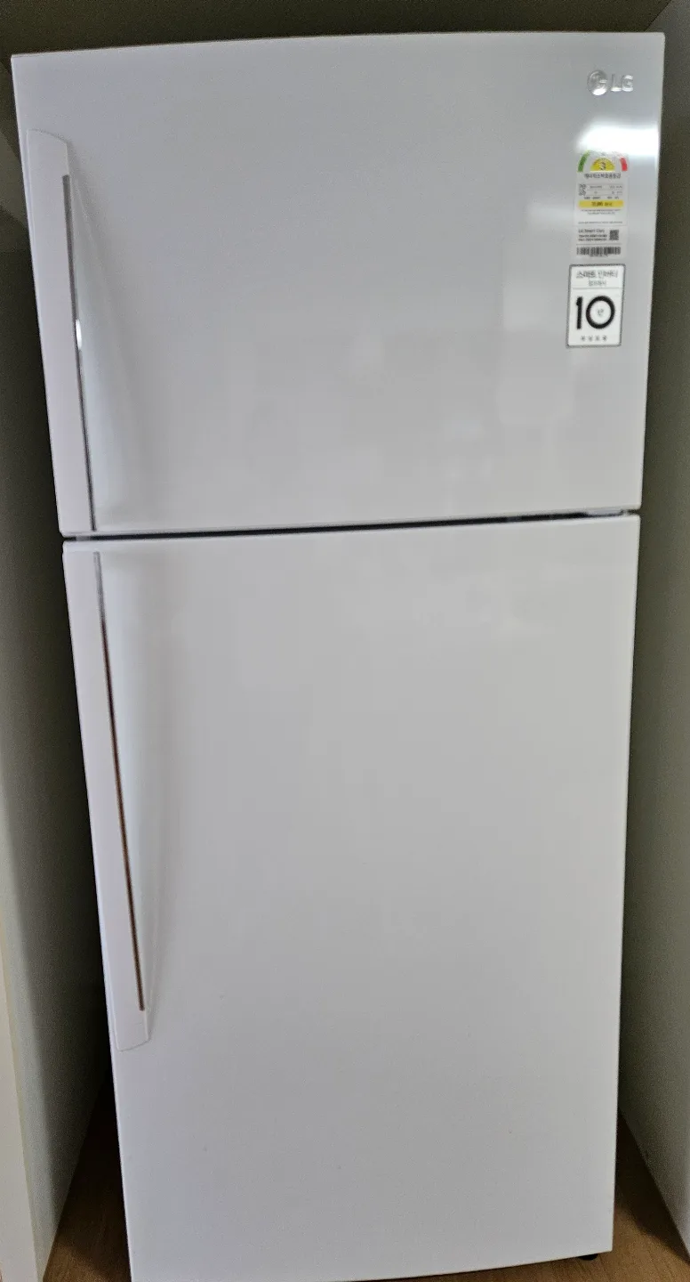 LG 양문형 냉장고 B502W33