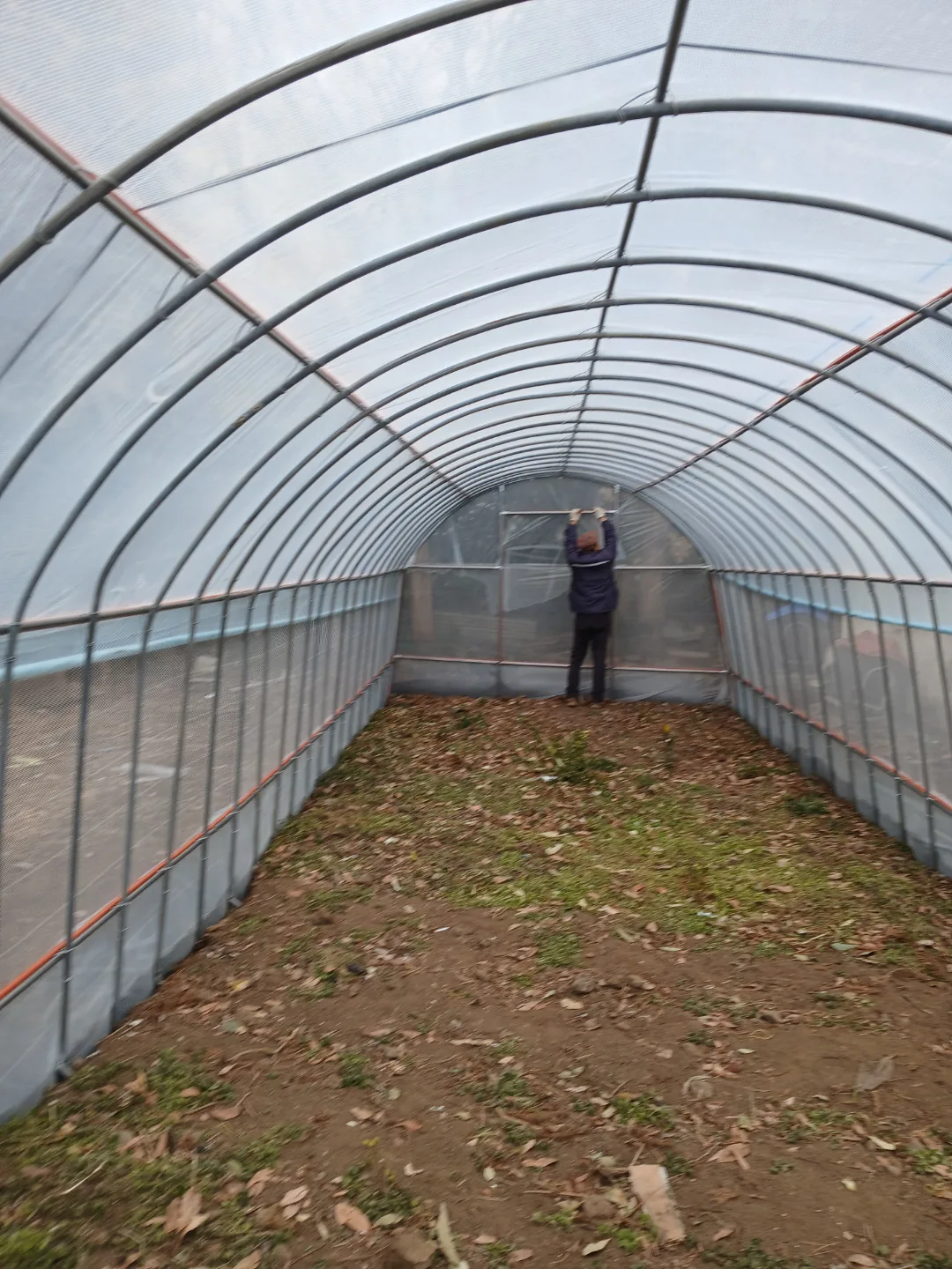 중고 하우스 (텃밭용)