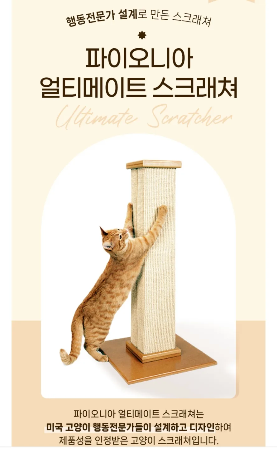 고양이 스크래쳐