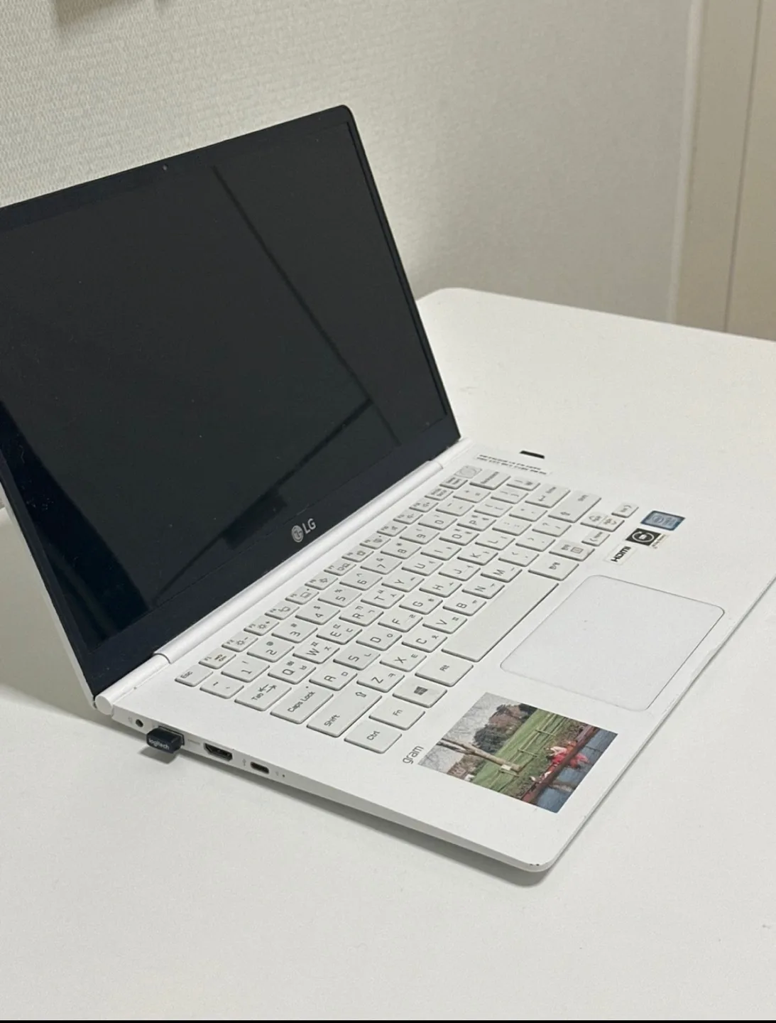 LG gram 노크북 14ZD980-GX50K