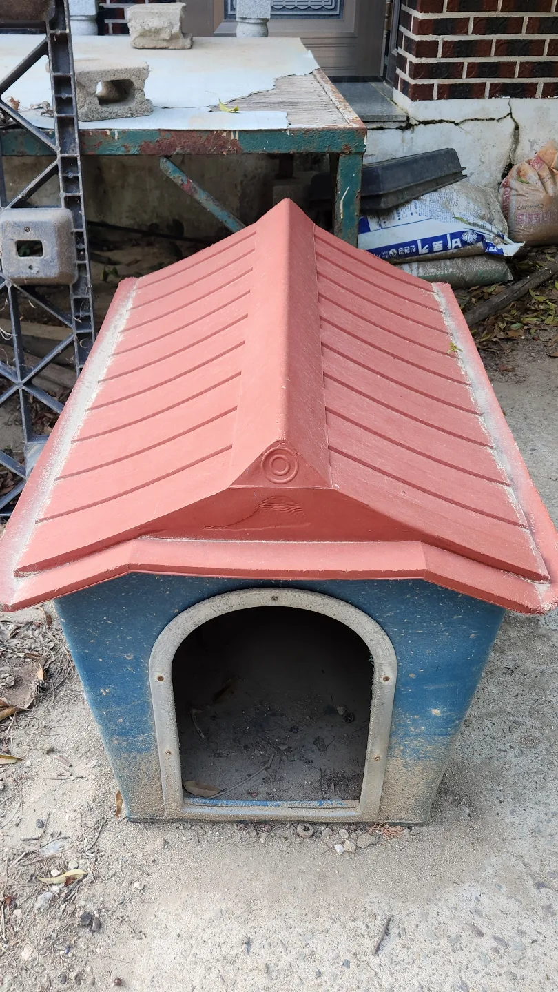 중고 개집 나눔 합니다