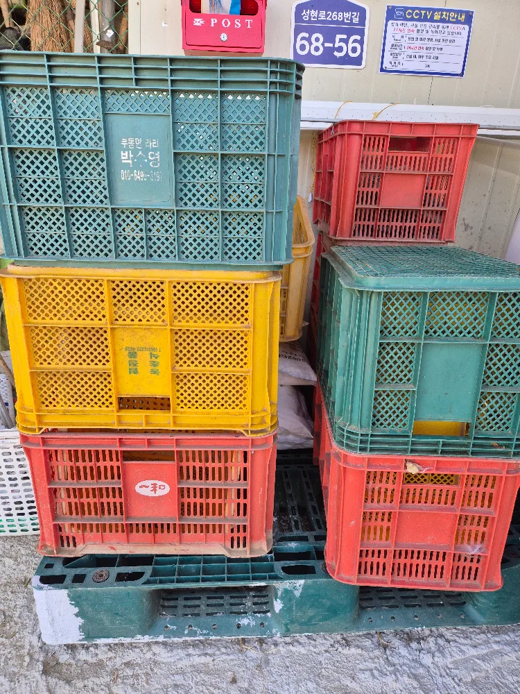 중고 플라스틱 과일 박스