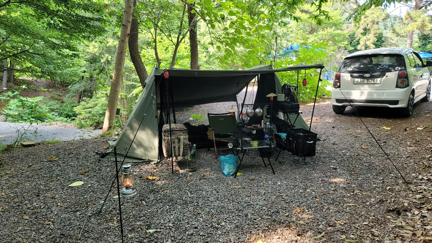 비달리도 A형 텐트 팔아요 캠핑 텐트