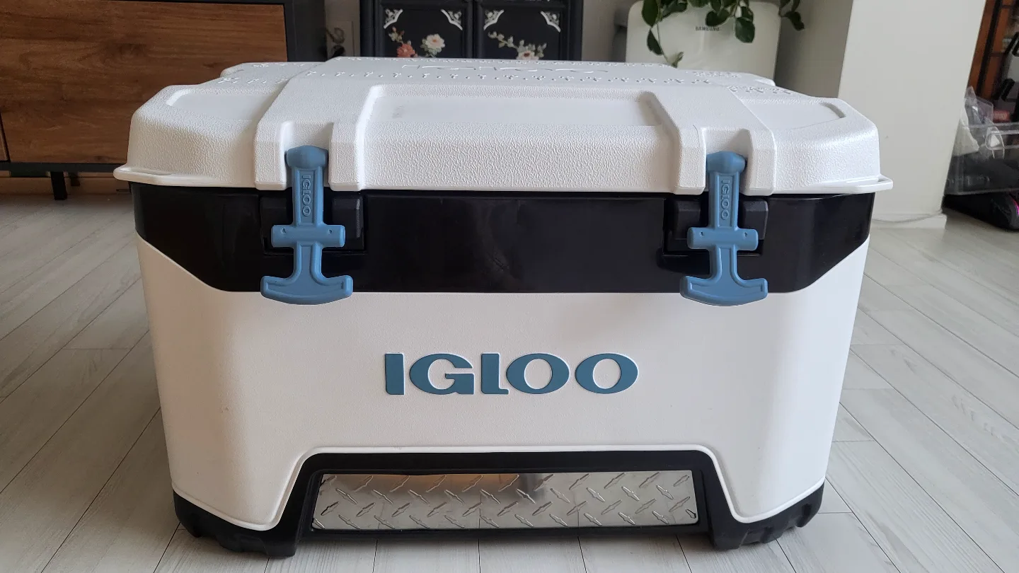 Igloo 아이스박스