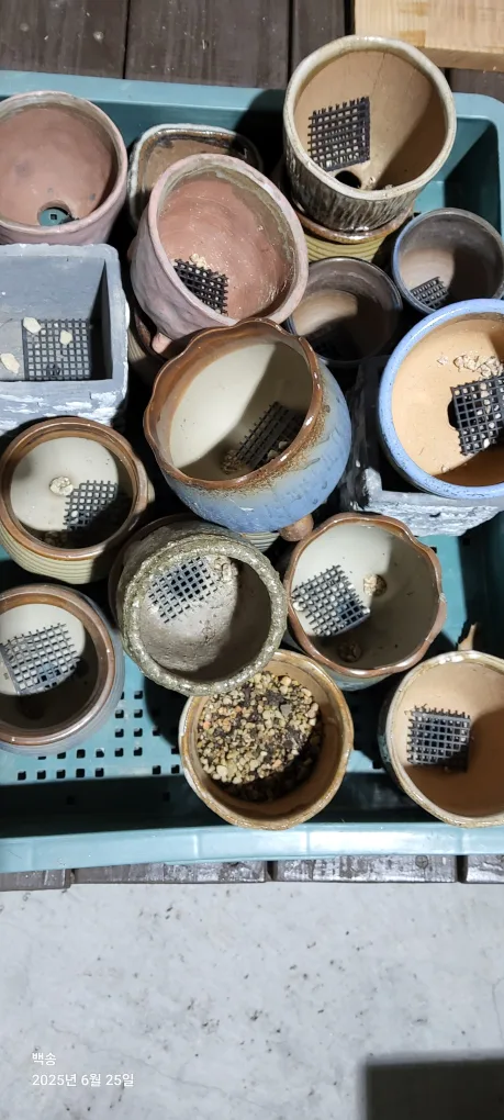 중고다육화분20개
