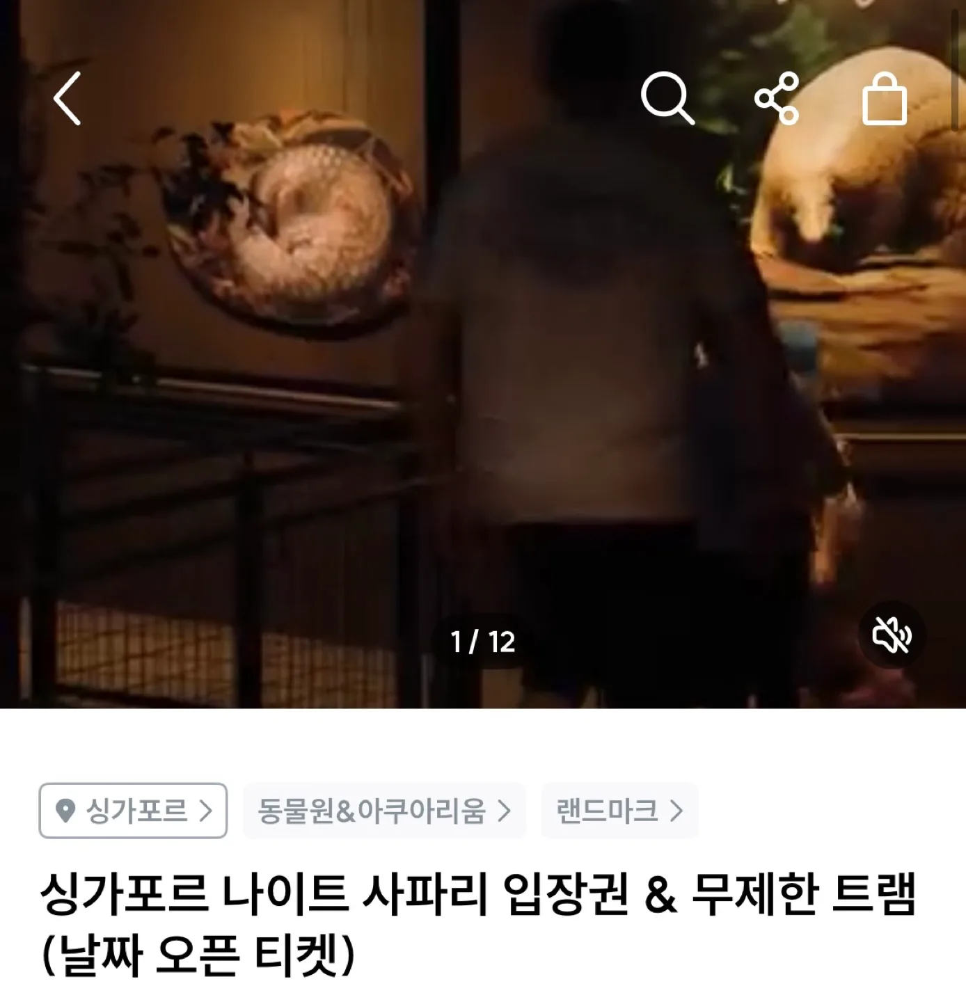 싱가포르 나이트사파리+트램 어린이(만3세~12세) 2매 판매합니다!