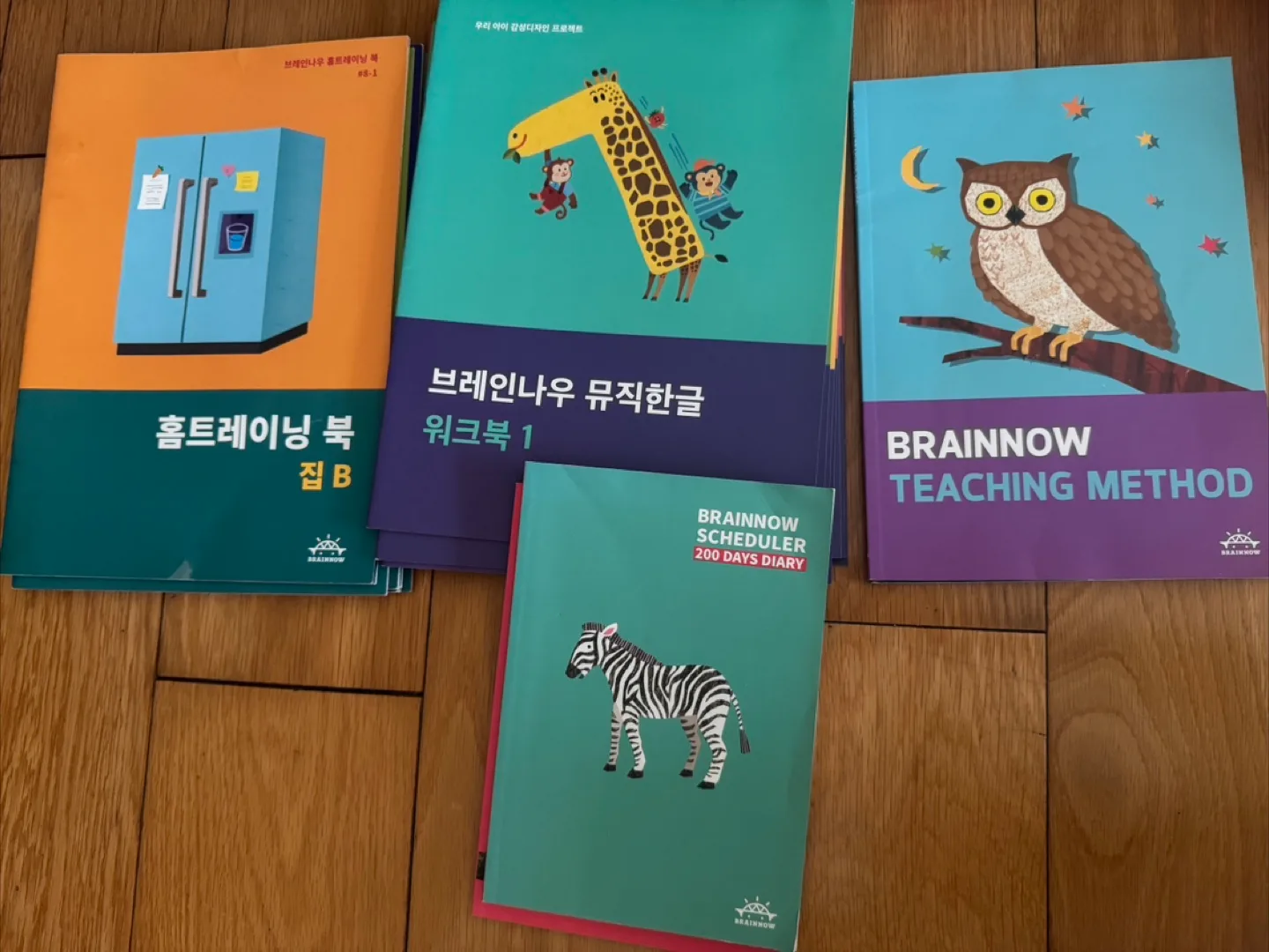 브레인나우 한글+영어 전구성 중고 최저가